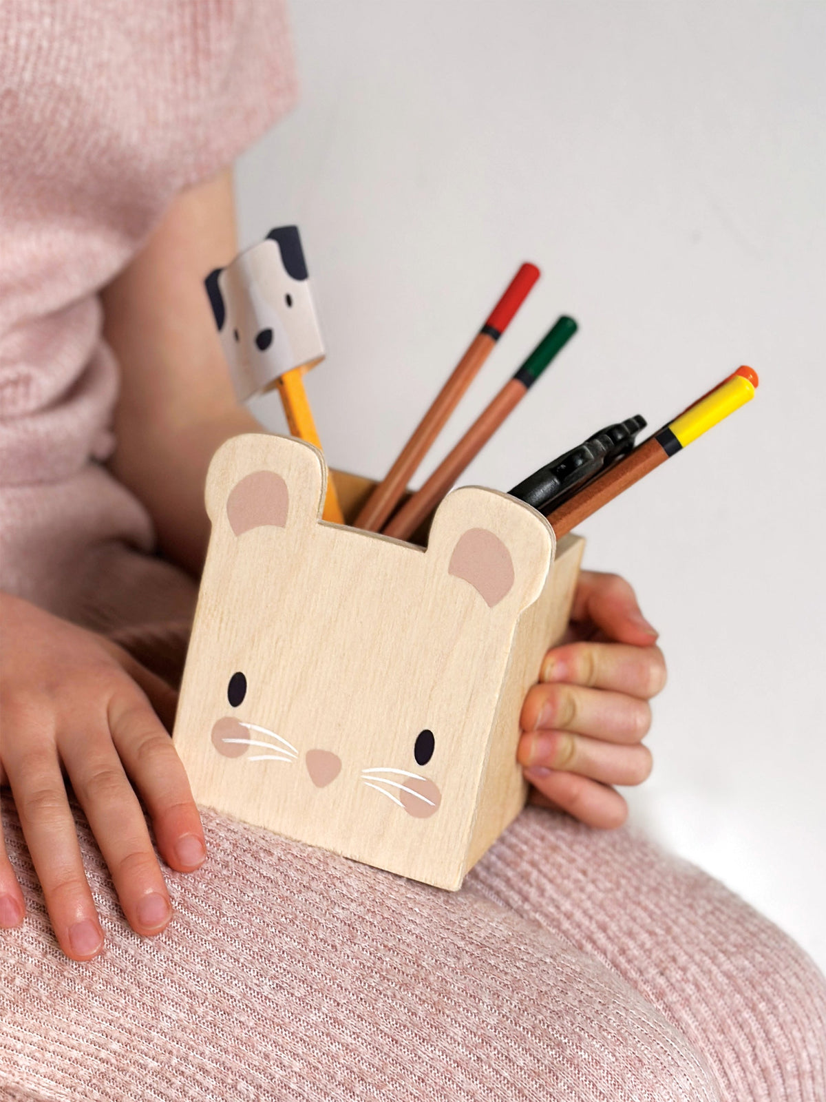 Pet Pencil Holders