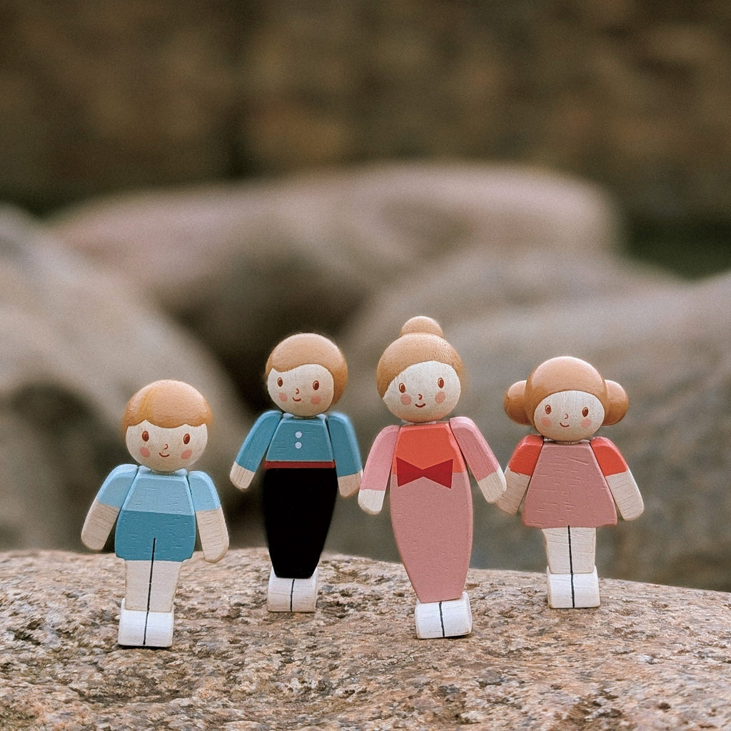 Doll Display Shelf