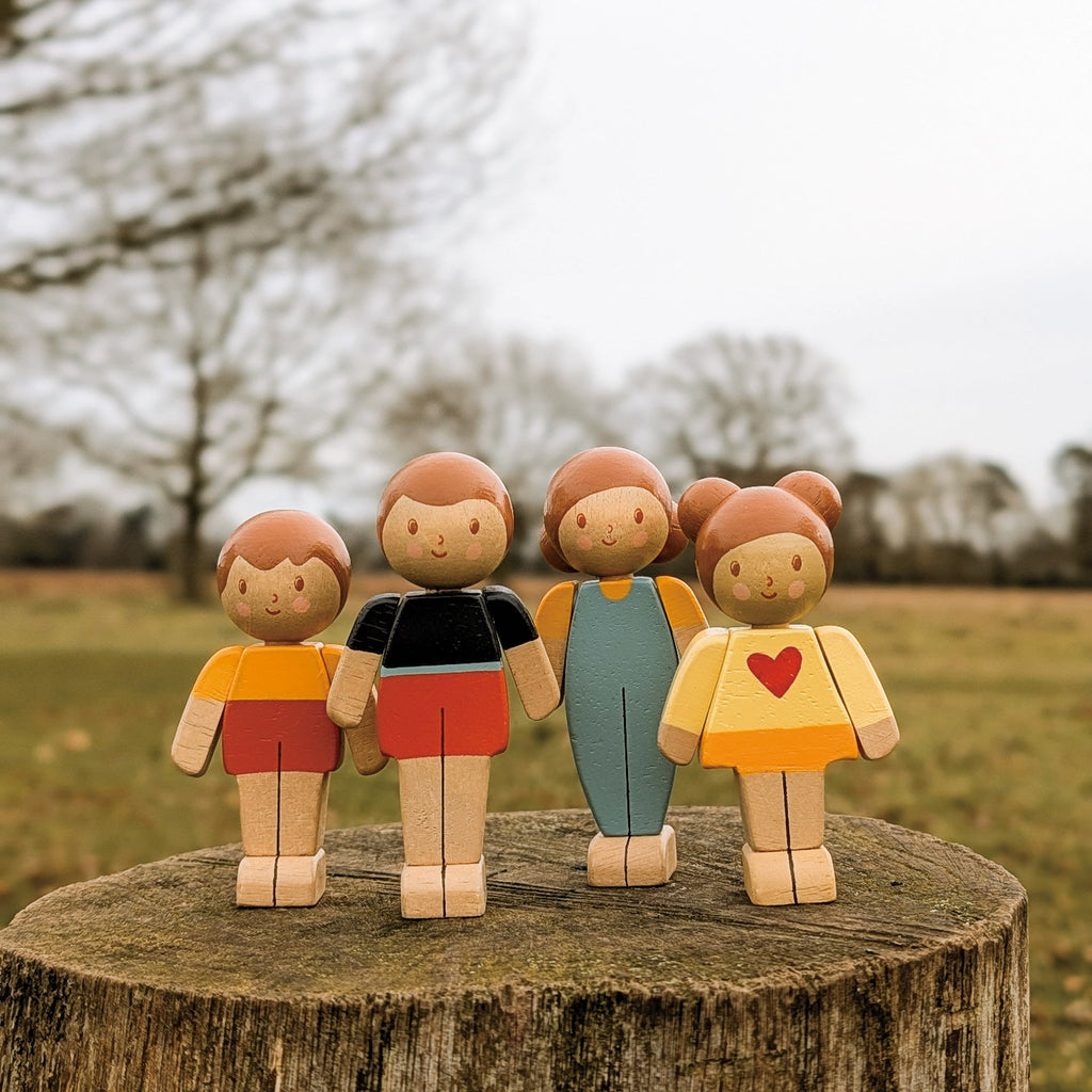 Doll Display Shelf